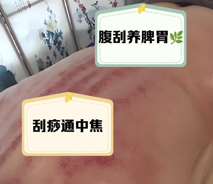 �ŷ���ʹ���𻤰��� ���º�����������������