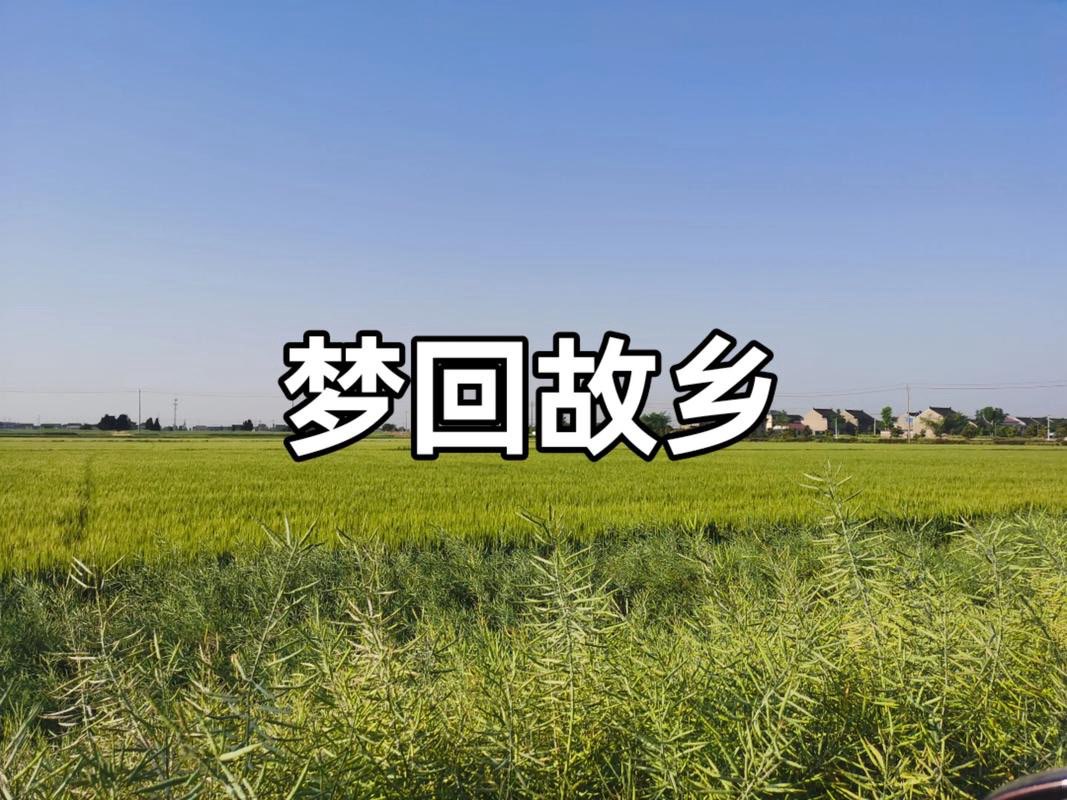 ���磬����õ���������