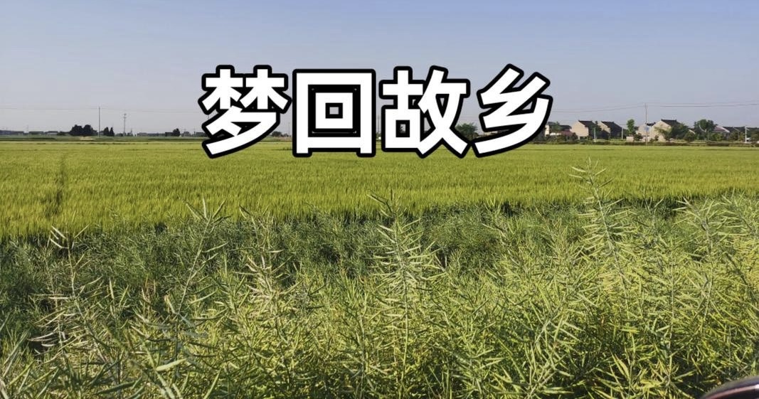 ���磬����õ���������