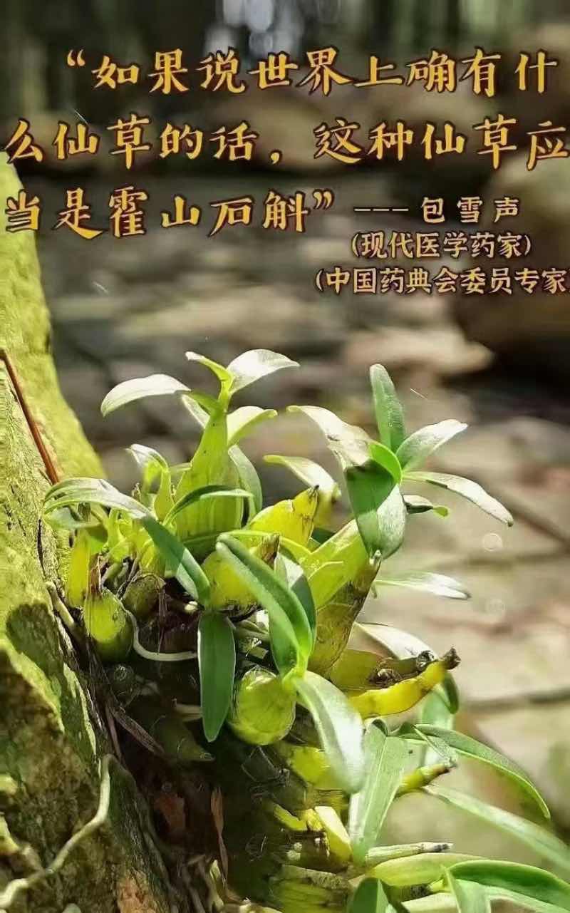 ��ɽ�������Ŵ��ɲ�֮�ף�ǧ����������˼�