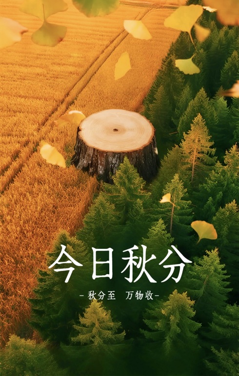 ����� ��������ʱ ������ƽ�ȶ���������